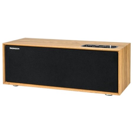 Thomson - Enceinte résidentielle COSY WS702