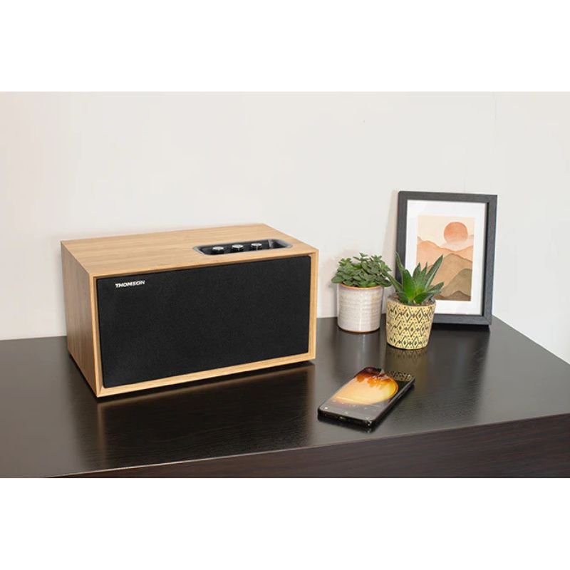 Thomson - Enceinte résidentielle compacte COSY WS502