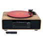 Thomson - Vinyl CD MP3 USB et Enceinte Bluetooth - MIC300TT