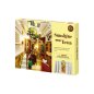 Rolife - Book Nook Sunshine Town - TGB02